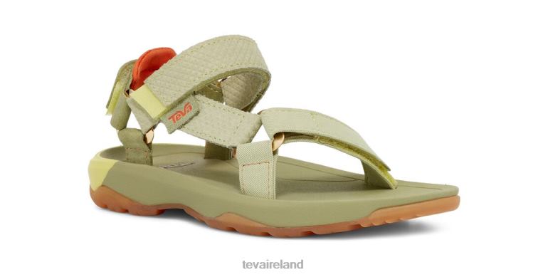 Teva Footwear X Coco And Breezy Hurricane Xlt2 6TN4R245 Green