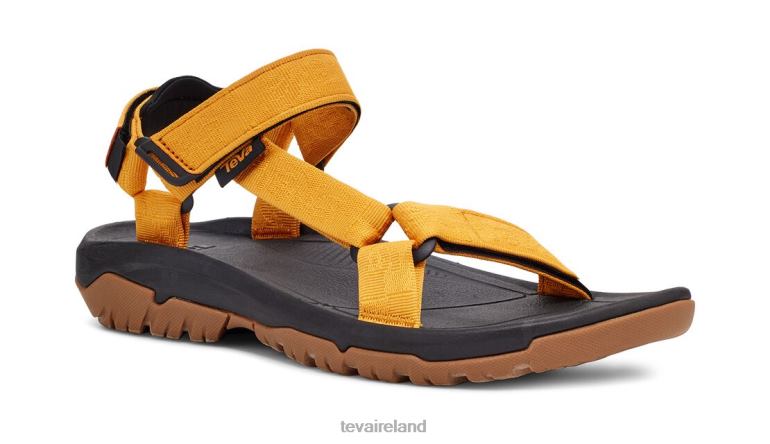 Teva Footwear Textural Sunflower Hurricane Xlt2 6TN4R6 Teva Textural Sunflower